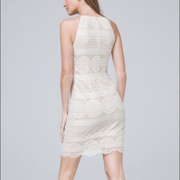 WHBM White Lace Shift Dress Sleeveless - Picture 13 of 13